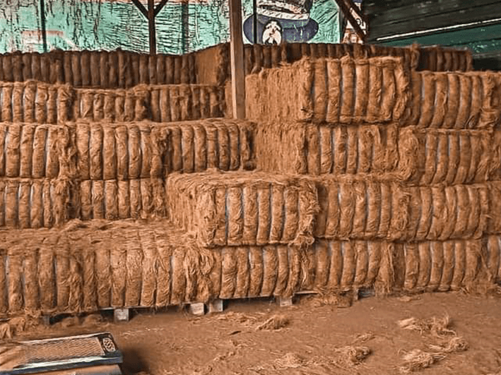 cocofiber1